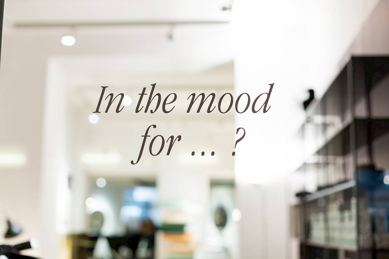 auf-der-suche-nach-design-mood-das-m-belgesch-ft-in-wien-f-r-ihre